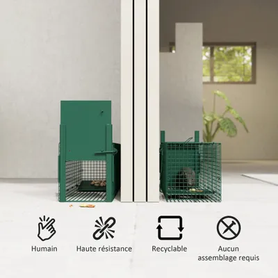 PawHut - Piège capture rongeurs à entrée et poignée H.20 cm - vert