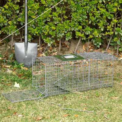 PawHut - Piège de capture pliable 2 portes poignée H.30 cm acier - gris