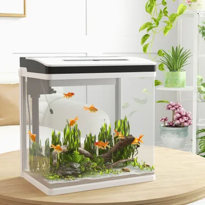 PawHut+ Aquarium en verre 28L - Filtre, couvercle & LED intégré - blanc