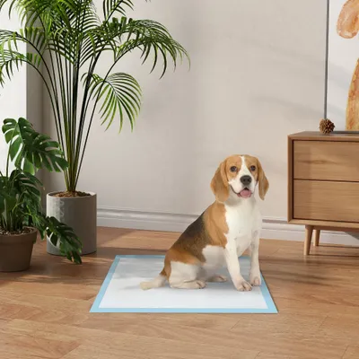 PawHut - Tapis d'entraînement chien étanche 6 couches H.60cm