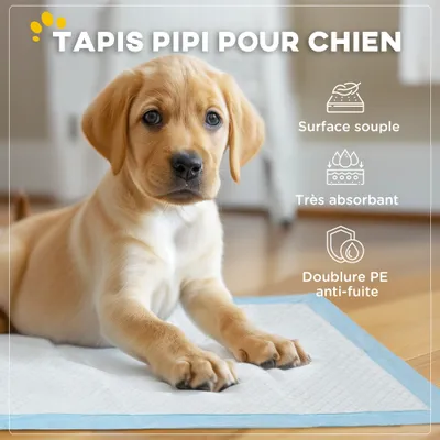 PawHut - Tapis d'entraînement chien étanche 6 couches H.60cm