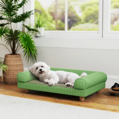 PawHut - Canapé chien velours côtelé accoudoirs H.17cm - vert