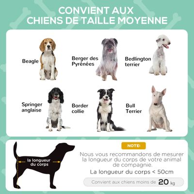 PawHut - Lit chien sur pieds auvent anti-UV Oxford sac inclus - gris