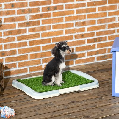 PawHut - Litière Chien Portable Gazon Synthétique Tiroir H.6cm - vert