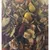 Friandise Mélange d'herbes Énergie Hompie seau 1,7 kg pour Lapin et Rongeur