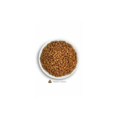 AMANOVA - Amanova Chat Stérilisé Saumon