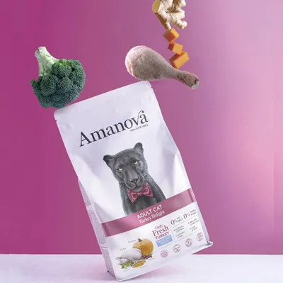 AMANOVA - Amanova Chat Dinde