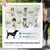 PawHut - Poussette buggy chien 3 roues pliable pneus gonflables - gris