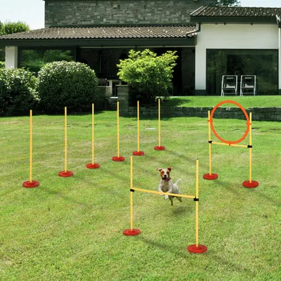 PawHut - Agility chiens avec haies, slalom et sac de transport - jaune