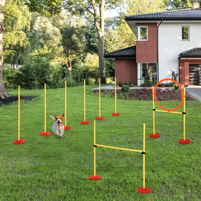 PawHut - Agility chiens avec haies, slalom et sac de transport - jaune