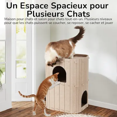 Pawffee Niche pour Chat d'Intérieur, Nid de Chat Grande Maison à 2 Étages Pawffee Niche pour Chat d'Intérieur, Nid de Chat Grande Maison à 2 Étages