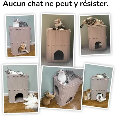 Pawffee Niche pour Chat d'Intérieur, Nid de Chat Grande Maison à 2 Étages Pawffee Niche pour Chat d'Intérieur, Nid de Chat Grande Maison à 2 Étages