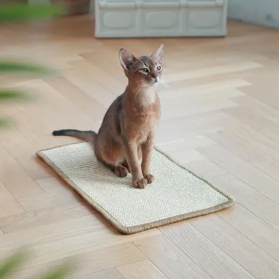 Pawffee Tapis griffoir pour chat 60x30 cm - Protège-canapé Pawffee Tapis griffoir pour chat 60x30 cm - Protège-canapé