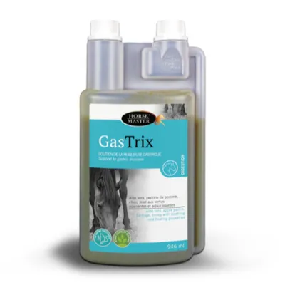 HORSE MASTER - GASTRIX HORSE MASTER - GASTRIX