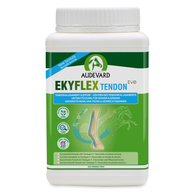 Audevard Ekyflex Tendon Evo