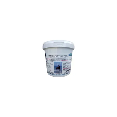 BONNE - HARPAGOPHYTUM + PRELE - LABORATOIRE BONNE BONNE - HARPAGOPHYTUM + PRELE - LABORATOIRE BONNE