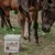 FARNAM - Complément lacté - Actifoal
