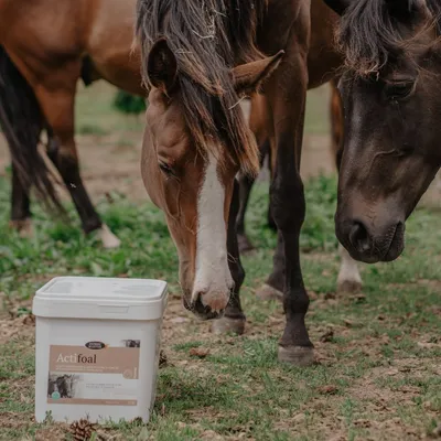 FARNAM - Complément lacté - Actifoal