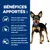 HILL'S - CHIEN ADULT PRESCRIPTION DIETS METABOLIC (mijoté) HILL'S - CHIEN ADULT PRESCRIPTION DIETS METABOLIC (mijoté)