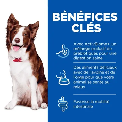 HILL'S - chien SCIENCE PLAN ADULT PERFECT DIGESTION MEDIUM HILL'S - chien SCIENCE PLAN ADULT PERFECT DIGESTION MEDIUM