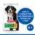 HILL'S - CHIEN SCIENCE PLAN 6+ SENIOR VITALITY LARGE HILL'S - CHIEN SCIENCE PLAN 6+ SENIOR VITALITY LARGE