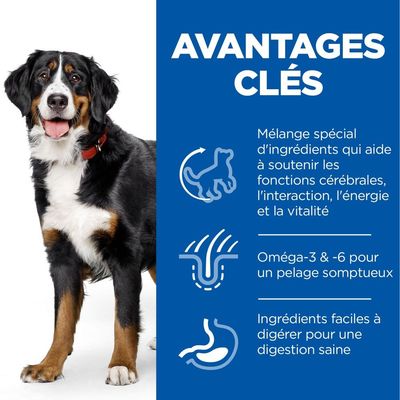 HILL'S -   CHIEN SCIENCE PLAN 6+ SENIOR VITALITY LARGE
