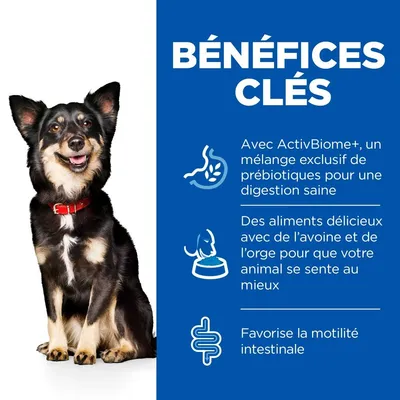 HILL'S - SCIENCE PLAN ADULT PERFECT DIGESTION SMALL / MINI HILL'S - SCIENCE PLAN ADULT PERFECT DIGESTION SMALL / MINI