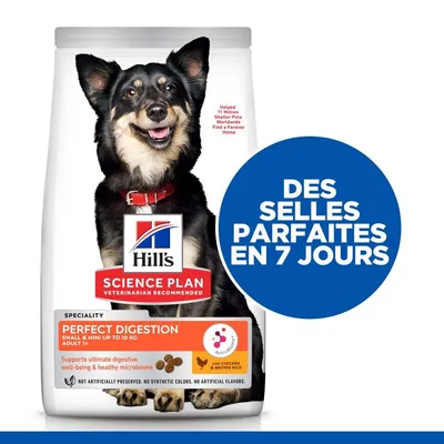 HILL'S - SCIENCE PLAN ADULT PERFECT DIGESTION SMALL / MINI HILL'S - SCIENCE PLAN ADULT PERFECT DIGESTION SMALL / MINI