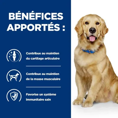 HILL'S -   CHIEN ADULT PRESCRIPTION DIETS J/D MOBILITY