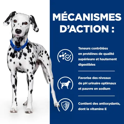 HILL'S -   CHIEN ADULT PRESCRIPTION DIETS U/D URINARY CARE
