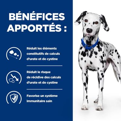 HILL'S -   CHIEN ADULT PRESCRIPTION DIETS U/D URINARY CARE