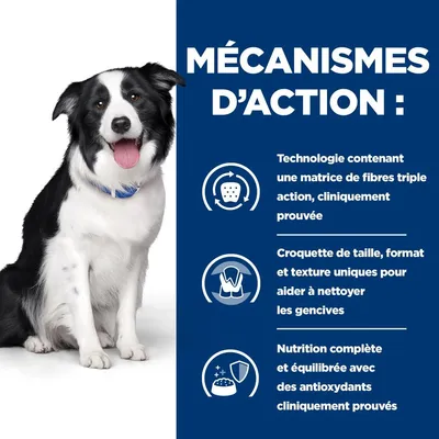Hill's Croquettes pour chien Adult Prescription Diet T/D Dental