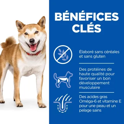 HILL'S - CHIEN SCIENCE PLAN ADULTE POULET SANS CEREALES HILL'S - CHIEN SCIENCE PLAN ADULTE POULET SANS CEREALES