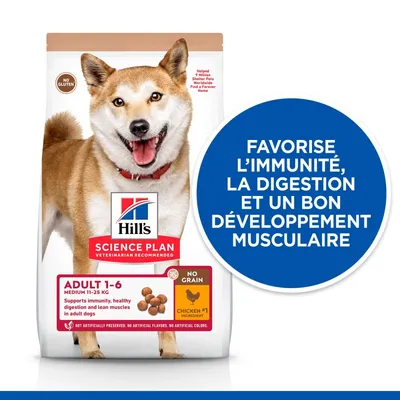 HILL'S - CHIEN SCIENCE PLAN ADULTE POULET SANS CEREALES HILL'S - CHIEN SCIENCE PLAN ADULTE POULET SANS CEREALES