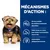 HILL'S -   CHIEN ADULT PRESCRIPTION DIETS L/D LIVER CARE