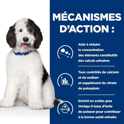 HILL'S - CHIEN ADULT PRESCRIPTION DIETS C/D MIJOTES POULET HILL'S - CHIEN ADULT PRESCRIPTION DIETS C/D MIJOTES POULET