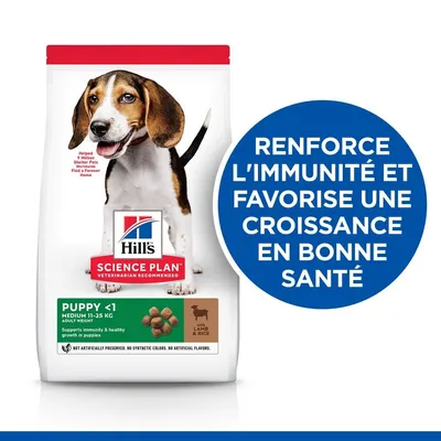 HILL'S - CHIEN SCIENCE PLAN PUPPY MEDIUM AGNEAU / RIZ HILL'S - CHIEN SCIENCE PLAN PUPPY MEDIUM AGNEAU / RIZ