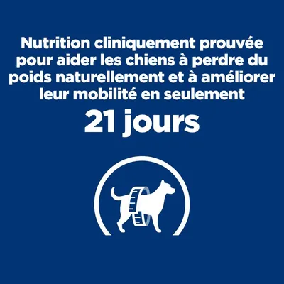 HILL'S - CHIEN ADULT PRESCRIPTION DIETS J/D MINI METABOLIC + MOBILITY HILL'S - CHIEN ADULT PRESCRIPTION DIETS J/D MINI METABOLIC + MOBILITY