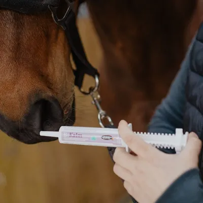 HORSE MASTER - B-Kalm - Pâte Anti Stress au L-Tryptophane Cheval