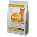 IAMS - chat boule de poils - IAMS for Vitality