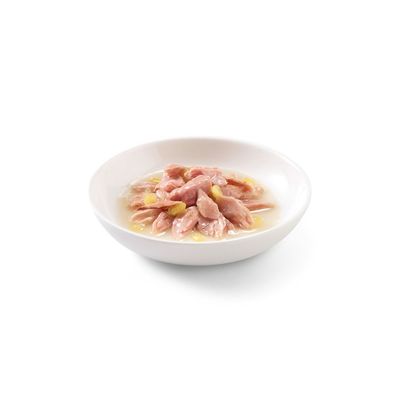 SCHESIR - Pâtées morceaux thon/mangue chat (boite 75g) - SCHESIR