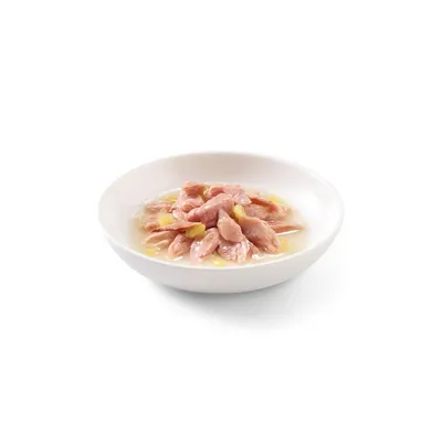 SCHESIR - Pâtées morceaux thon/mangue chat (boite 75g) - SCHESIR SCHESIR - Pâtées morceaux thon/mangue chat (boite 75g) - SCHESIR