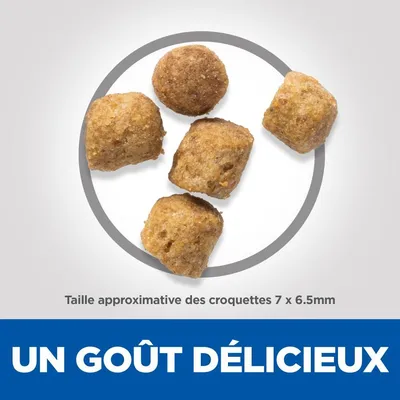 HILL'S - CHAT SCIENCE PLAN STERILISED MATURE ADULT POULET HILL'S - CHAT SCIENCE PLAN STERILISED MATURE ADULT POULET