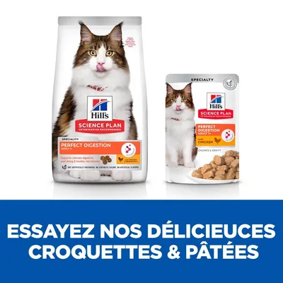 HILL'S - chat SCIENCE PLAN ADULT PERFECT DIGESTION HILL'S - chat SCIENCE PLAN ADULT PERFECT DIGESTION
