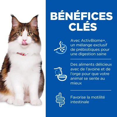 HILL'S - chat SCIENCE PLAN ADULT PERFECT DIGESTION HILL'S - chat SCIENCE PLAN ADULT PERFECT DIGESTION