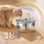 Recharges filtres fontaine chat/chien – pack de 4 Recharges filtres fontaine chat/chien – pack de 4
