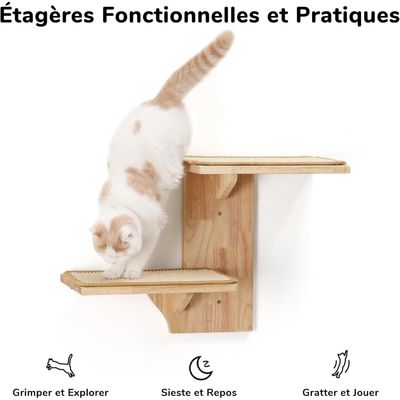 Recharges filtres fontaine chat/chien – pack de 4