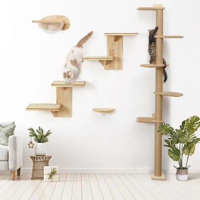 Pawffee Étagères Murales pour Chat, 2 Plateformes,