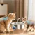 Recharges filtres fontaine chat/chien – pack de 4 Recharges filtres fontaine chat/chien – pack de 4