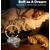 Recharges filtres fontaine chat/chien – pack de 4 Recharges filtres fontaine chat/chien – pack de 4